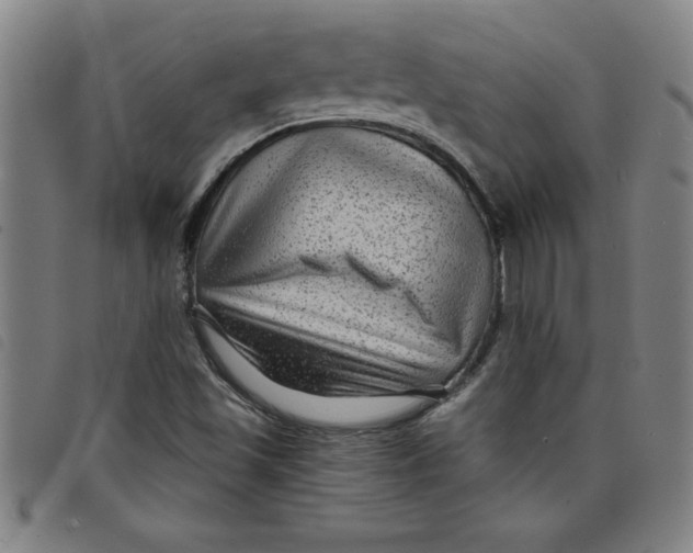 X0000097871501200804041539