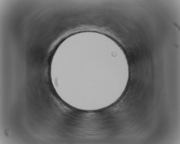 X0000097871502200804041539
