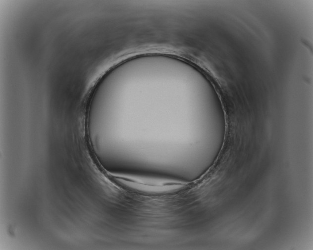 X0000097871504200804041539