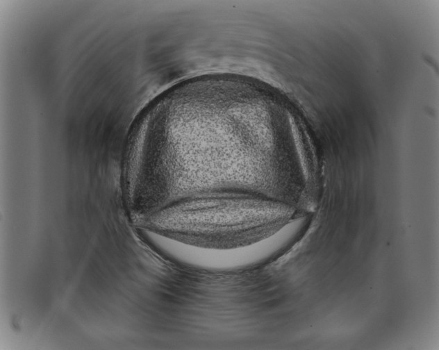 X0000097871505200804041539