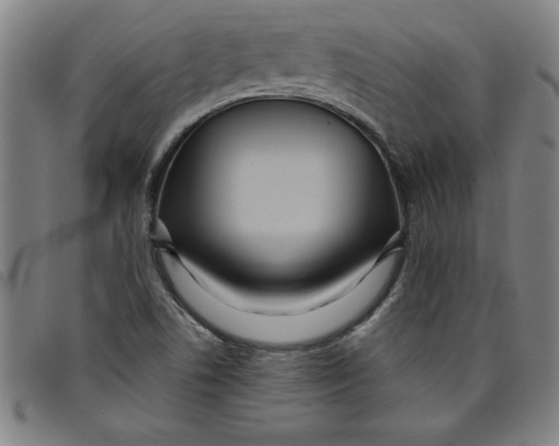 X0000097871506200804041539