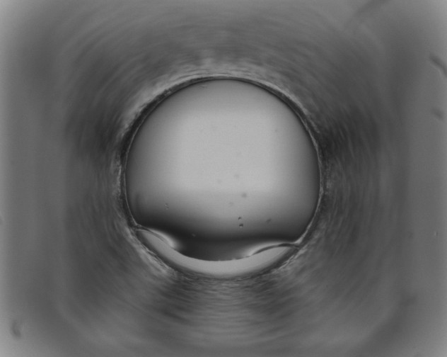 X0000097871507200804041539