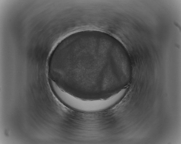 X0000097871508200804041539