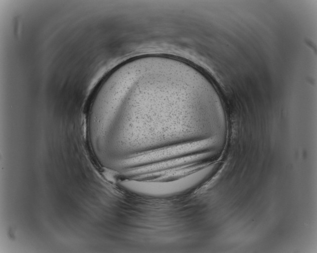X0000097871509200804041539