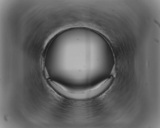 X0000097871510200804041539
