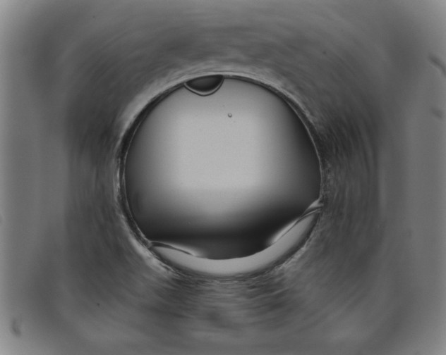 X0000097871511200804041539