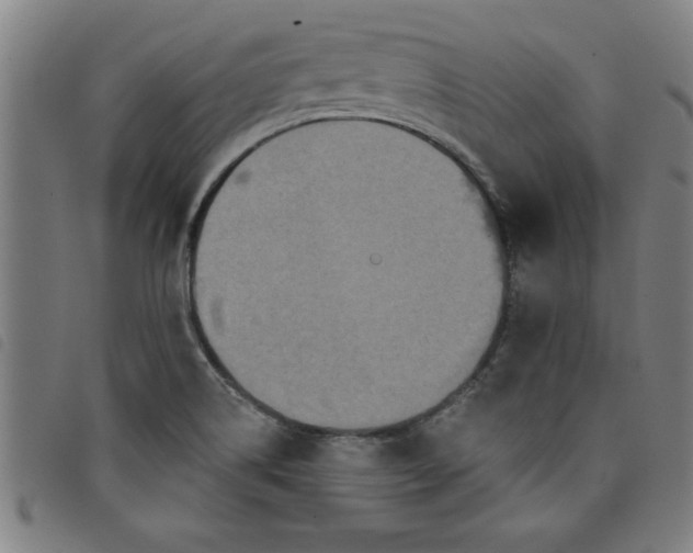 X0000097871514200804041539