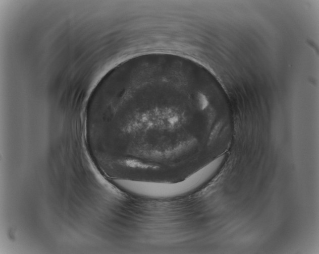 X0000097871515200804041539