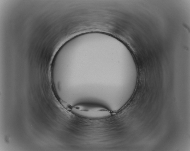 X0000097871516200804041539