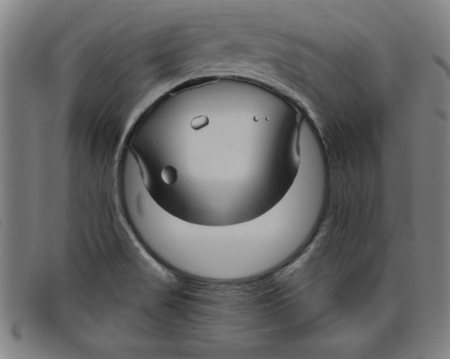 X0000097871517200804041539