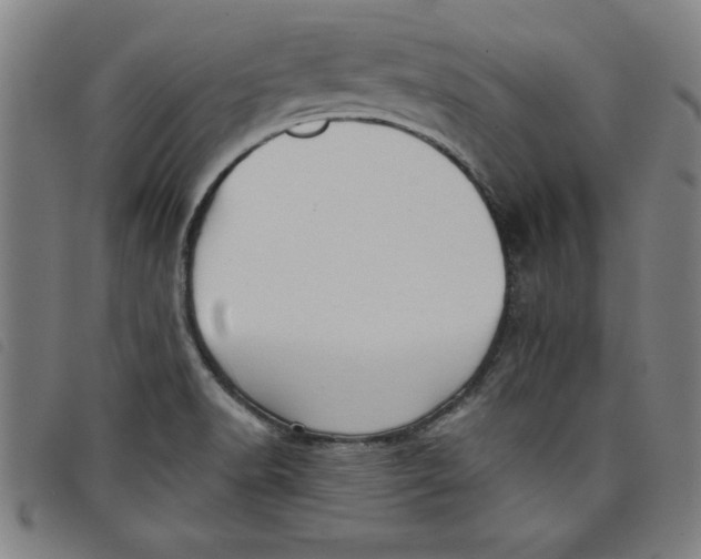 X0000097871518200804041539