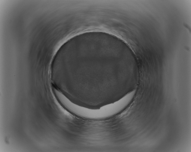 X0000097871519200804041539