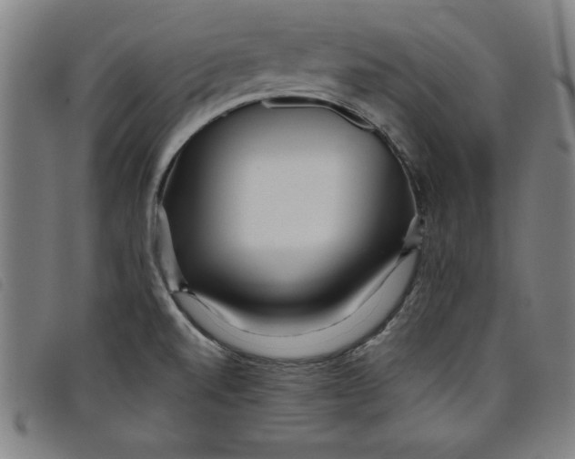 X0000097871520200804041540