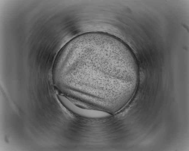X0000097871521200804041540