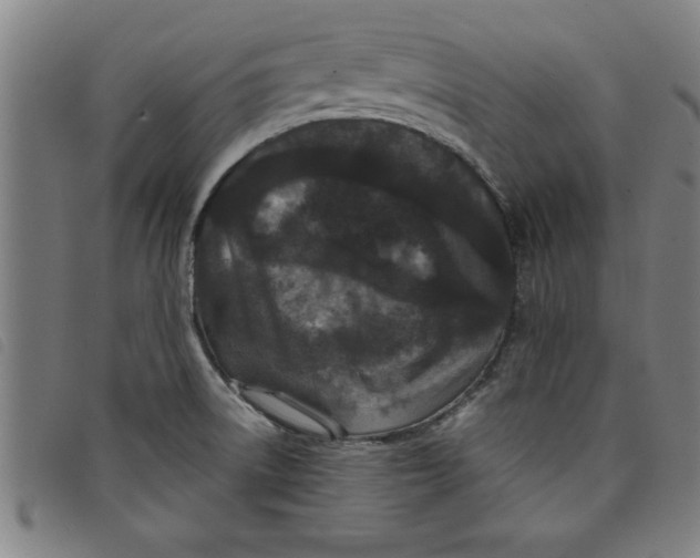 X0000097871522200804041540