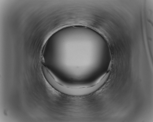 X0000097871524200804041540