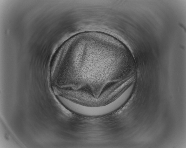 X0000097871525200804041540