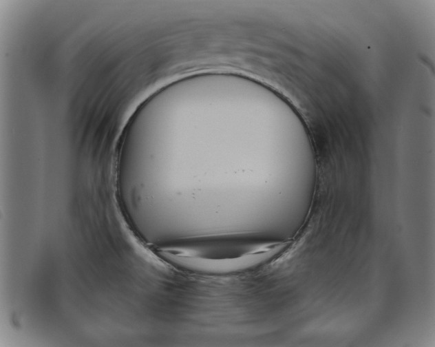 X0000097871526200804041540