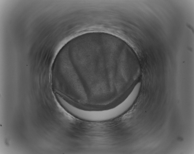 X0000097871527200804041540