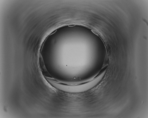 X0000097871528200804041540