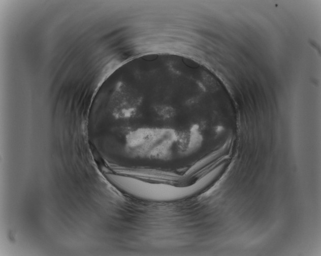 X0000097871529200804041540