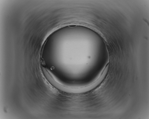 X0000097871530200804041540