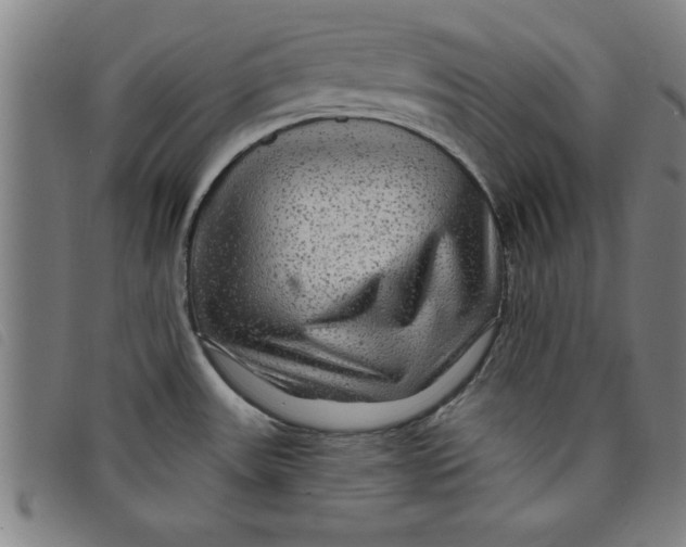 X0000097871531200804041540