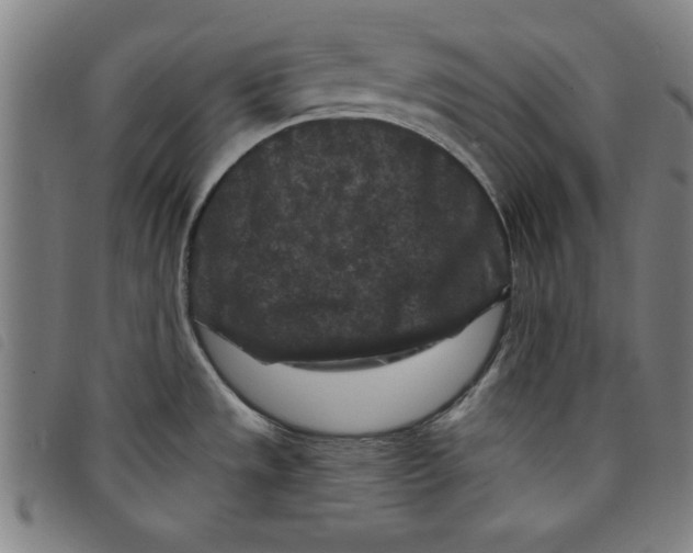 X0000097871533200804041540
