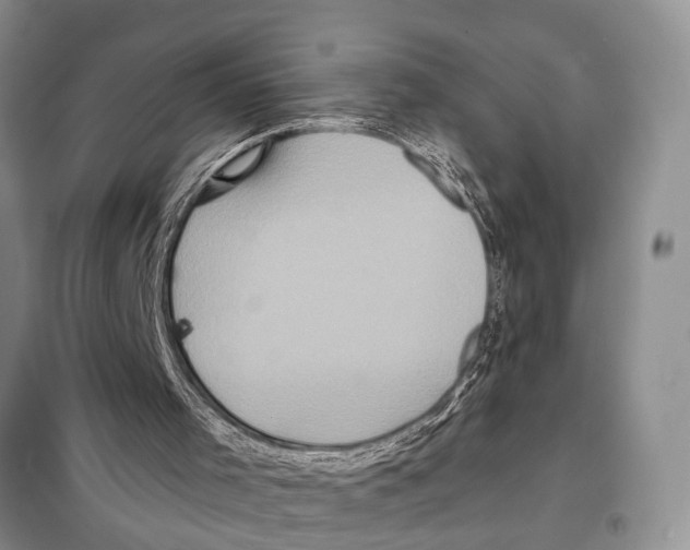 X0000097870001200804110936