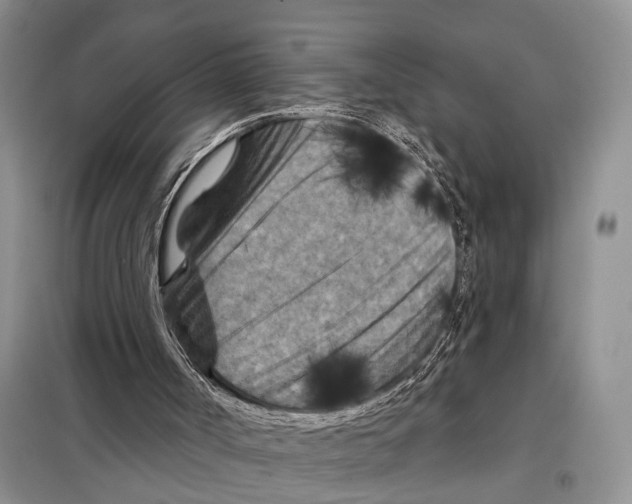 X0000097870002200804110936