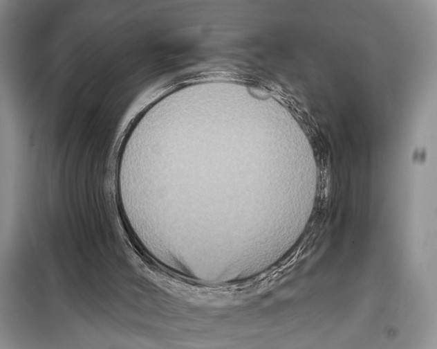 X0000097870004200804110936