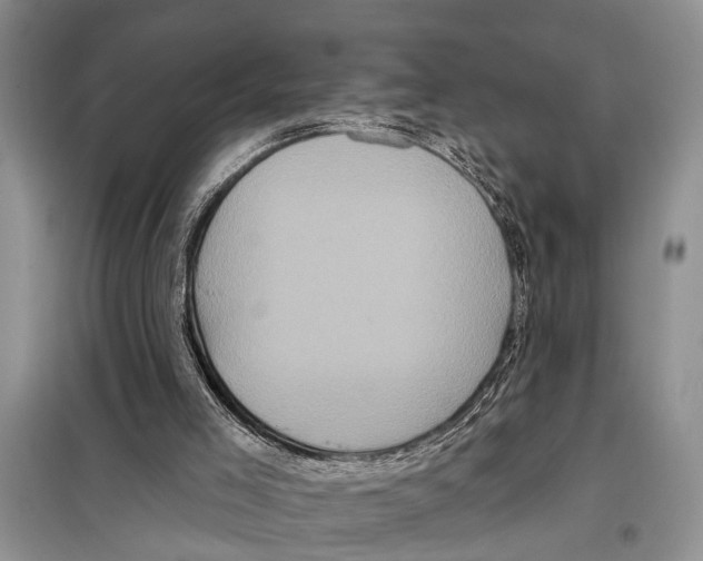 X0000097870005200804110936