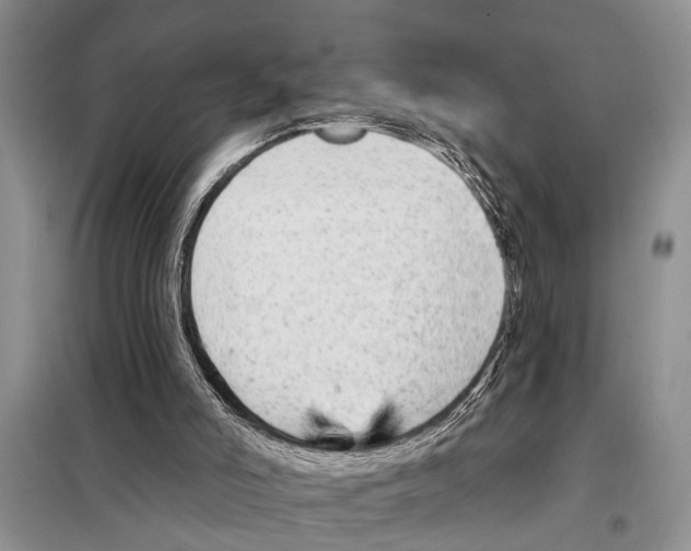 X0000097870006200804110936