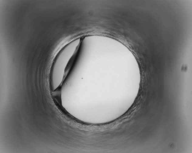 X0000097870007200804110936