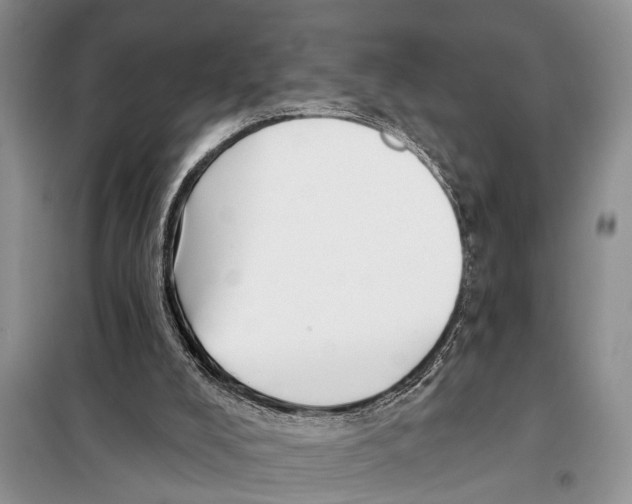 X0000097870008200804110936