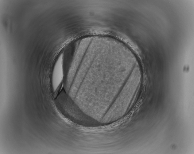 X0000097870009200804110936