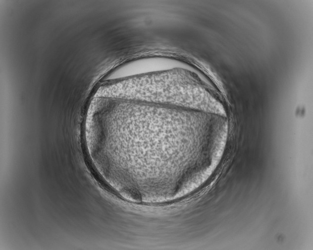 X0000097870010200804110935