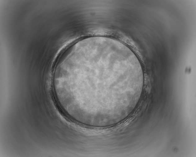 X0000097870012200804110935