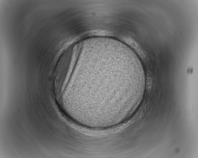 X0000097870014200804110935
