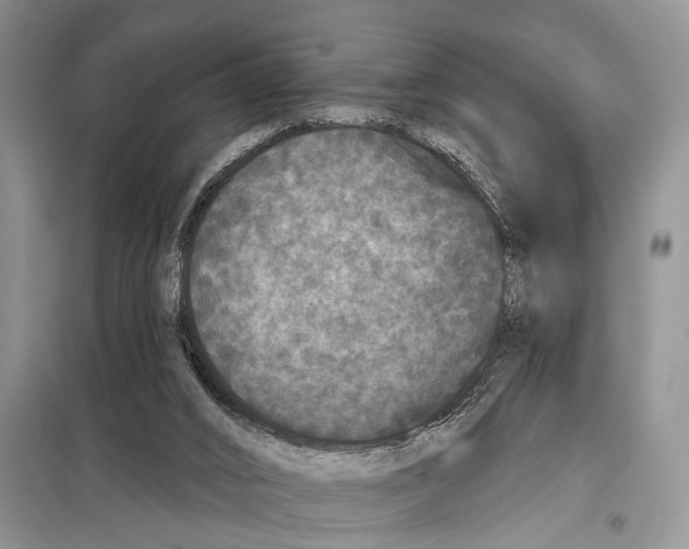 X0000097870016200804110935
