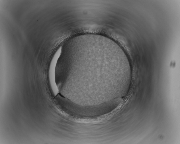 X0000097870017200804110935