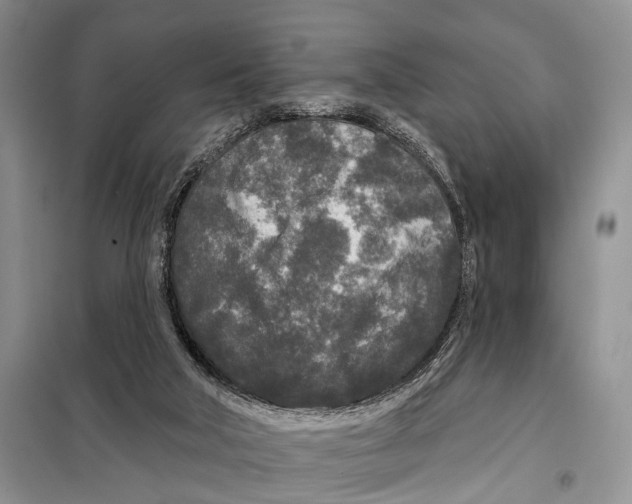 X0000097870018200804110935