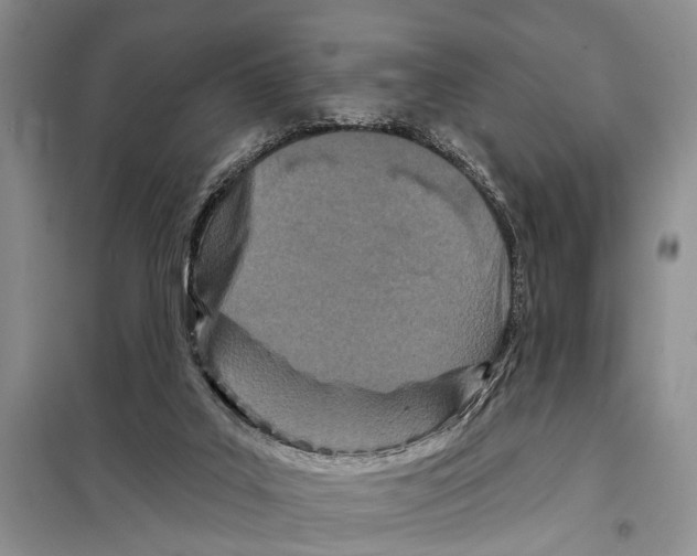 X0000097870019200804110935