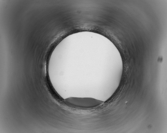 X0000097870020200804110935