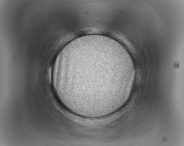 X0000097870022200804110935