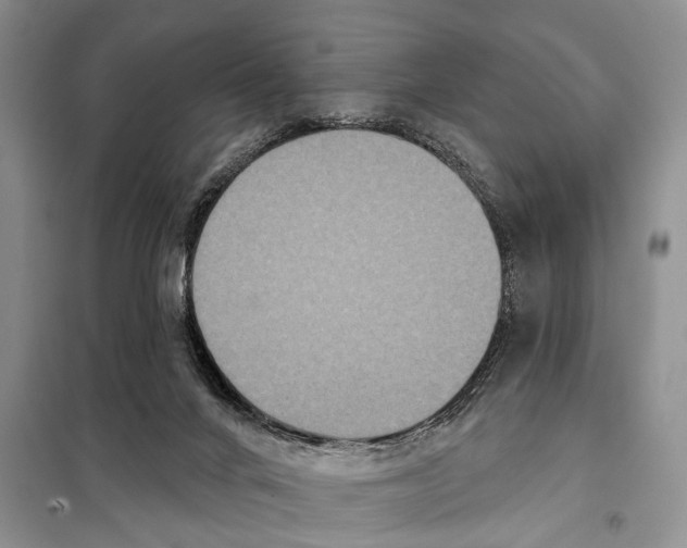 X0000097870024200804110935