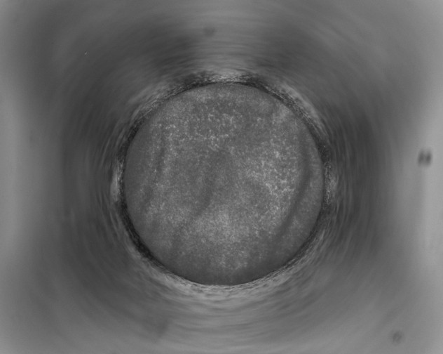 X0000097870026200804110935
