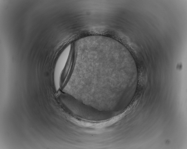 X0000097870027200804110935
