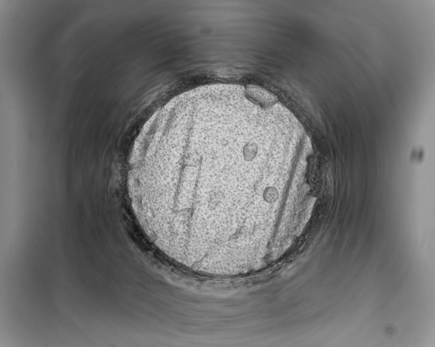 X0000097870032200804110935