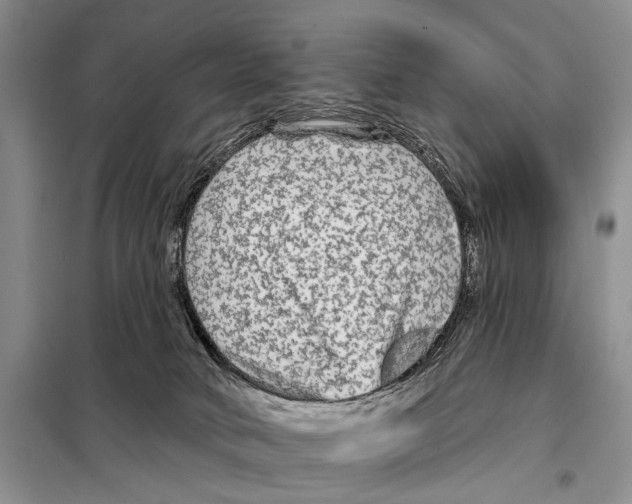 X0000097870034200804110935